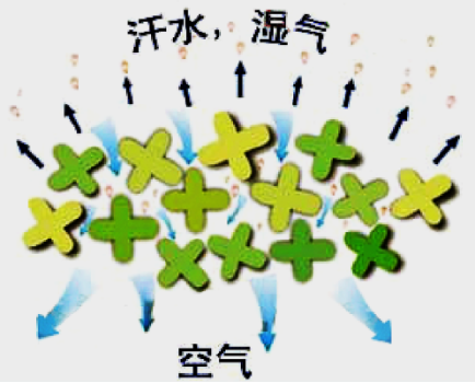 微信图片_20240810100945