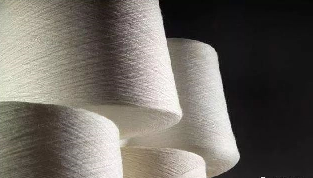 微信图片_20241119110258