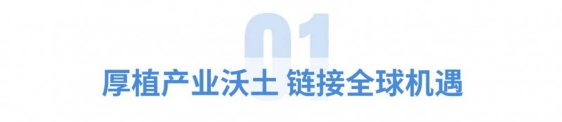 01.jpg