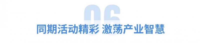 06.jpg